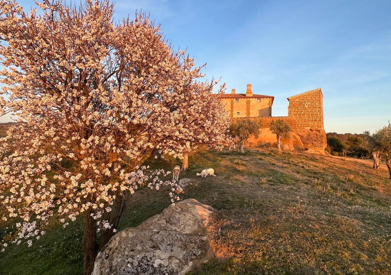 Castillo De Corvinos Huesca Buitenkant foto